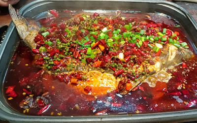 想學(xué)烤魚技術(shù)哪里專業(yè)？