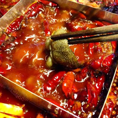 成都火鍋培訓(xùn)多少錢？ 成都火鍋培訓(xùn)多少錢？